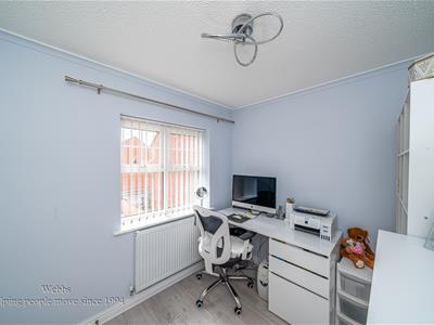 Picture 33